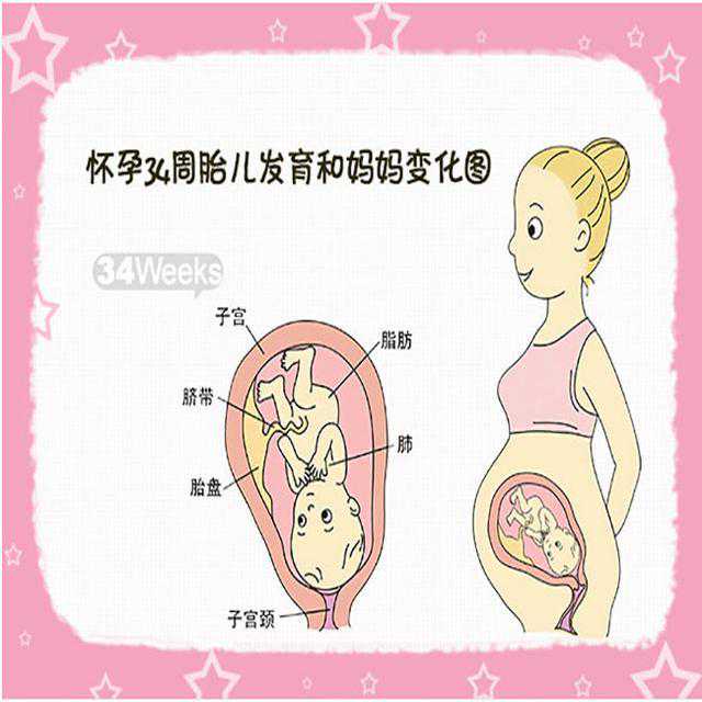 美国第三代试管婴儿向染色体异常“重拳出击”，省钱攻略解析！