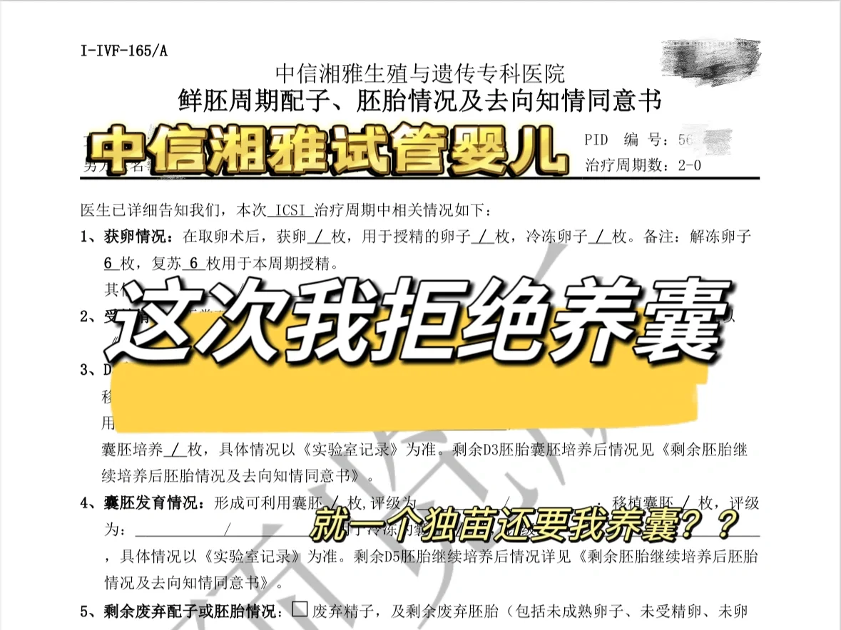 就一个独苗还建议我养囊？拒绝❌,代孕公司服务好