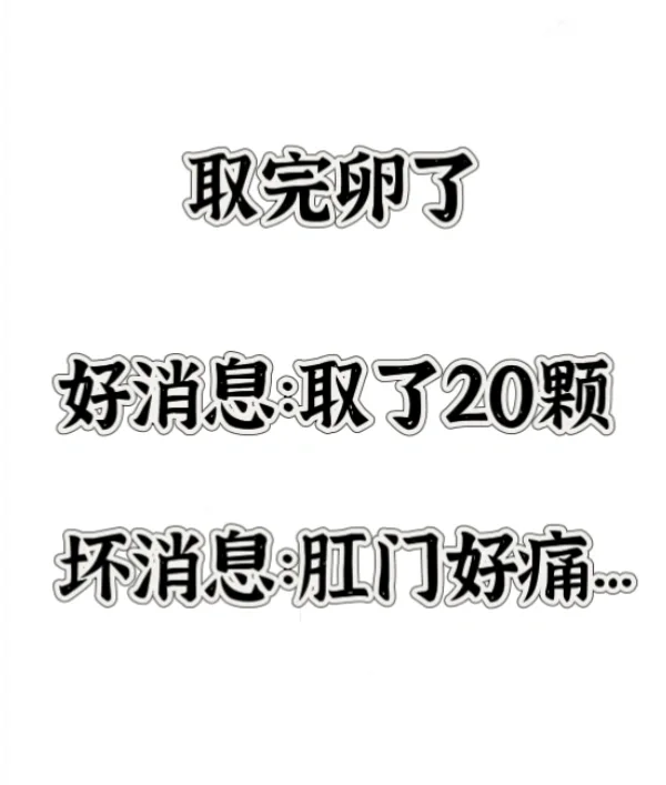 试管日记｜顺利取卵20颗，但肛门真的好痛,找代孕妈妈要多少费用&安全代孕公司