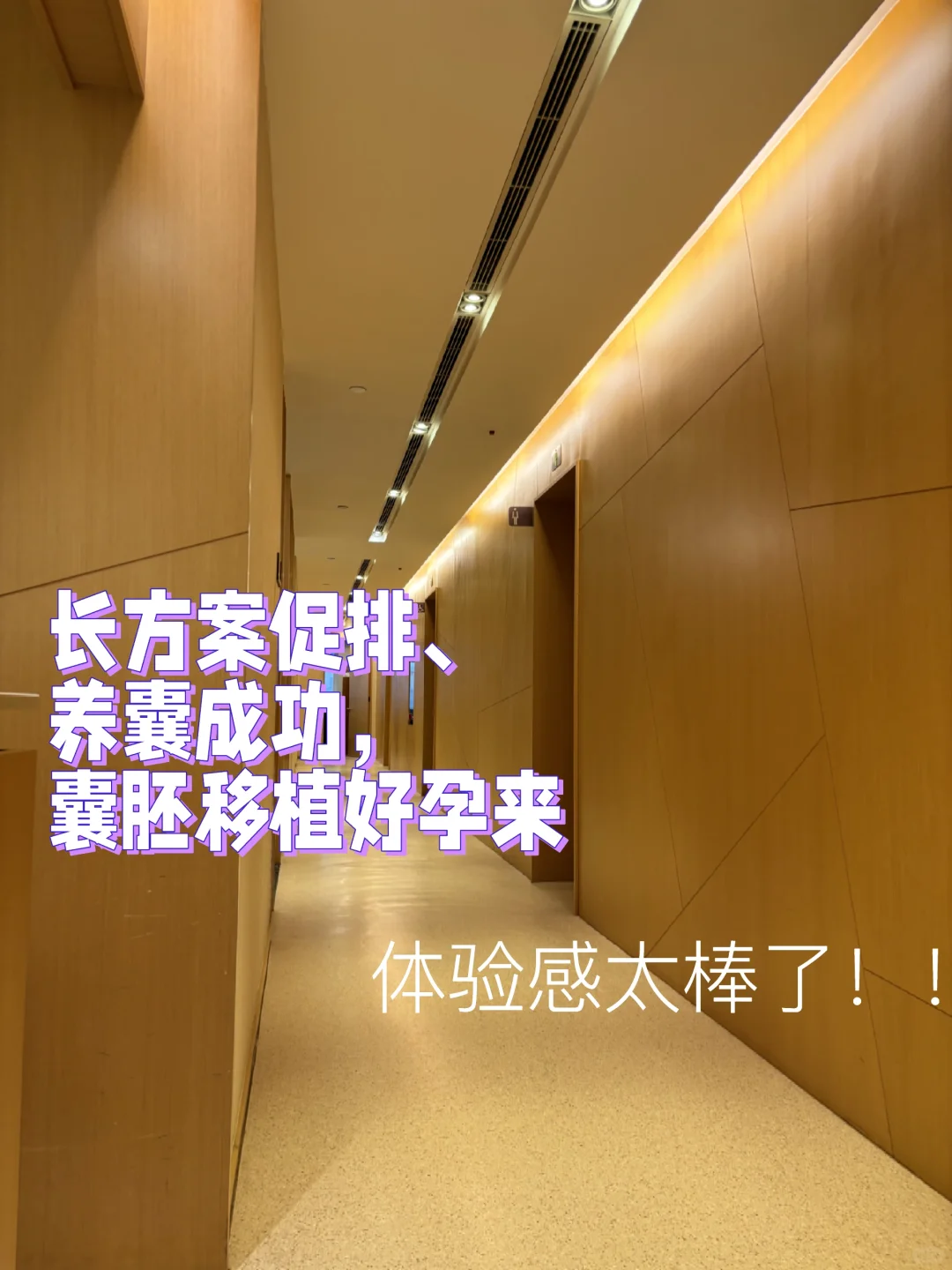 长方案促排、养囊成功，囊胚移植好孕来🥳,专业的代孕网站